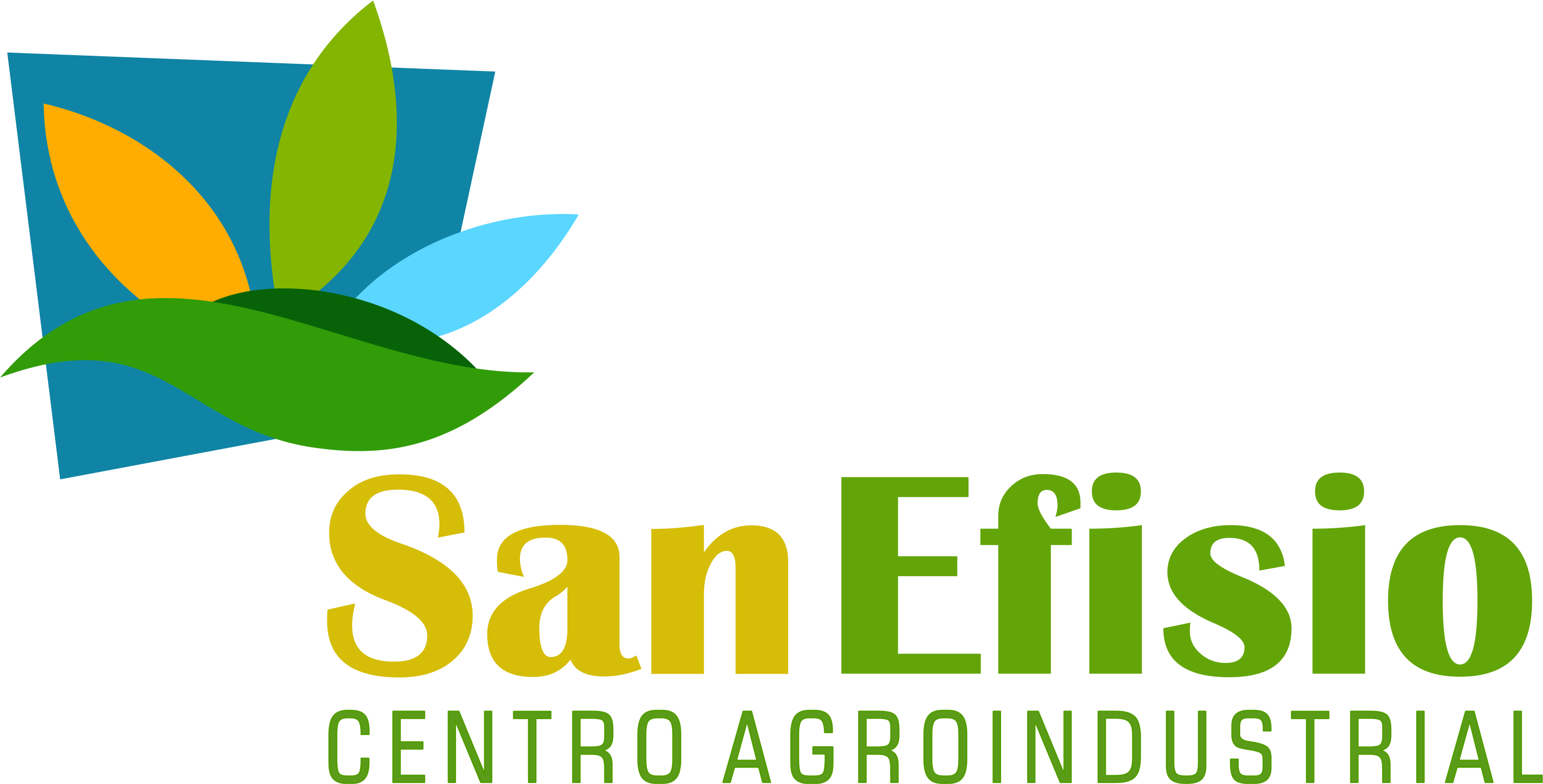 EMPRESA SANEFISIO S.A.C